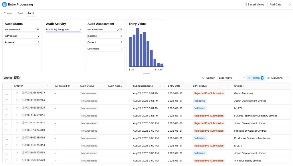 The Audit tab on Entry Processing: summary cards for audit status, activity, assessment, and entry value, with the entries table below